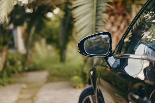 Fototapeta Car side mirror of a black car on a shaded driveway with palm trees and reflection on wet glass, closeup exterior detail showing glossy paint and tropical outdoor setting