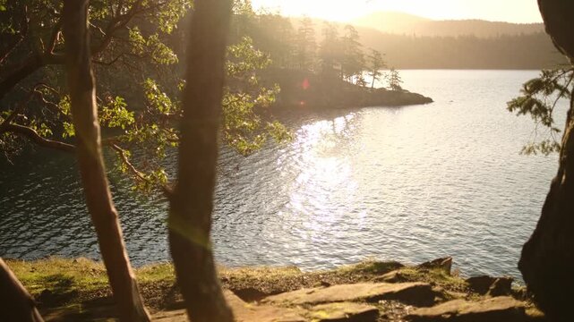 Serene Lake View Framed by Forest Trees at Golden Hour