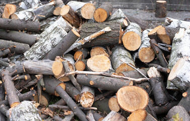 A pile of firewood. Background with firewood. Preparing for winter. Stacking firewood. 