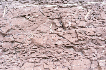 dry cracked earth