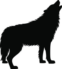 Black Wolf Silhouette Standing on All Fours animal