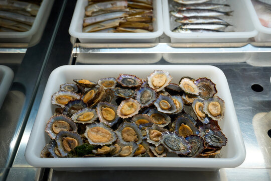 Fresh limpets displayed on ice in a seafood market tray, highlighting traditional shellfish, coastal cuisine, and local gastronomy.