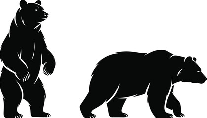 Two black bears standing on white background silhouette © subod