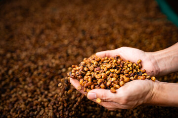 handful of coffee beans
