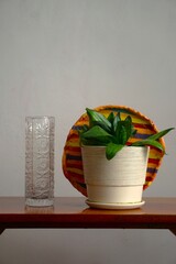 Kwiat doniczkowy, kolorowa podstawka w tle i długi wazon. Kryształowy, starodawny wazon oraz kwiat postawiony na stoliku typu PRL. © Adam