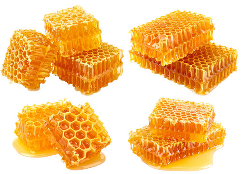 Set of honeycomb isolated on transparent background. 