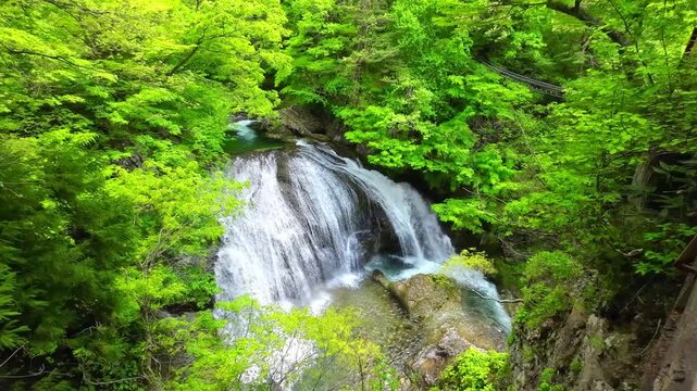 新緑の関山大滝【山形県東根市】