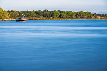 nature sceneries inside the Bibione Pineda lagoon during a summer day