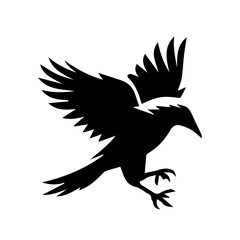 Obraz premium crow on a white background