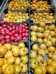 Fresh tomatoes, vegetables at grocery store