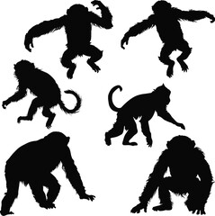 set of six monkeys black silhouettes isolated on white