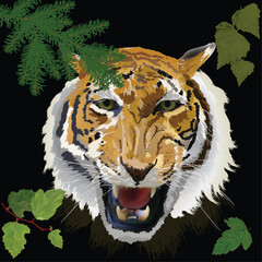 tiger portrait between leaves isolated on black background © Alexander Potapov