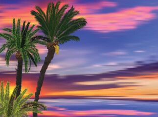 green palm trees at fine lilac and pink sunset near sea