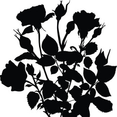 black roses flowers bunch silhouette isolated on white