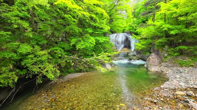 新緑の関山大滝【山形県東根市】