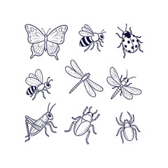 Detailed Vector Illustration Set of Cute Wild Animals and Flying Insect Creatures