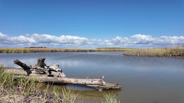 Anahuac National Wildlife Refuge, one of the region's best places for birdwatching and wildlife viewing.