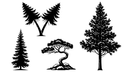 Vector collection of pine and fir tree silhouettes isolated on a white background © SAQUEEN
