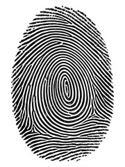 Realistic fingerprint texture illustration showing biometric identity pattern for security, forensic analysis, and digital verification systems