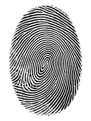 Fingerprint icon illustration representing biometric identity authentication, security verification, and digital access control