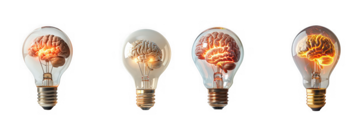 Four lightbulbs containing human brains progressing through stages of illumination and thought on transparent background high quality