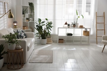 Comfortable sofa, other furniture and green houseplants indoors. Interior design