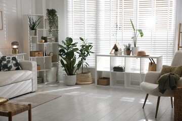 Comfortable sofa, other furniture and green houseplants indoors. Interior design