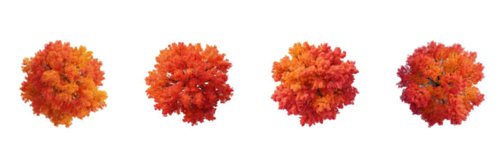 Autumn Maple Trees Top View Set. Seasonal Foliage And Nature Collection Isolated On Transparent Background