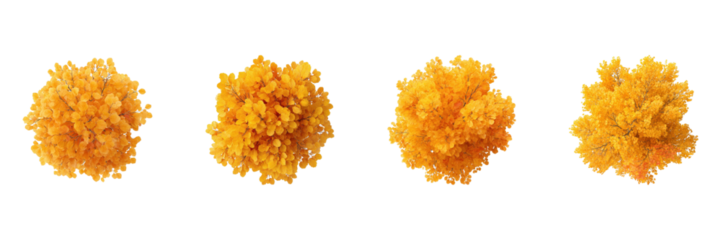 Autumn Foliage Top View Set. Seasonal Nature And Botanical Design Collection Isolated On Transparent Background