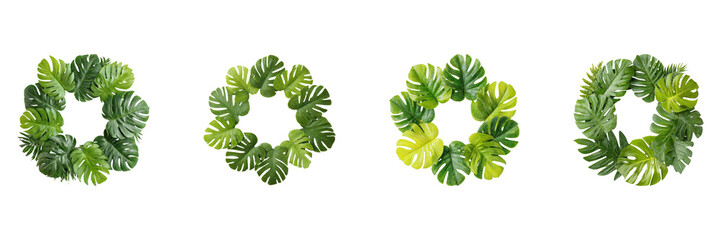 Tropical Monstera Leaf Wreaths Set. Nature-Inspired Decorative Elements Collection Isolated On Transparent Background