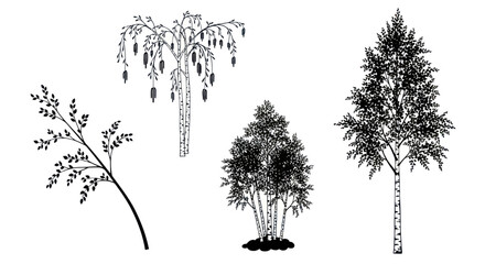 Set of black and white birch tree and branch illustrations