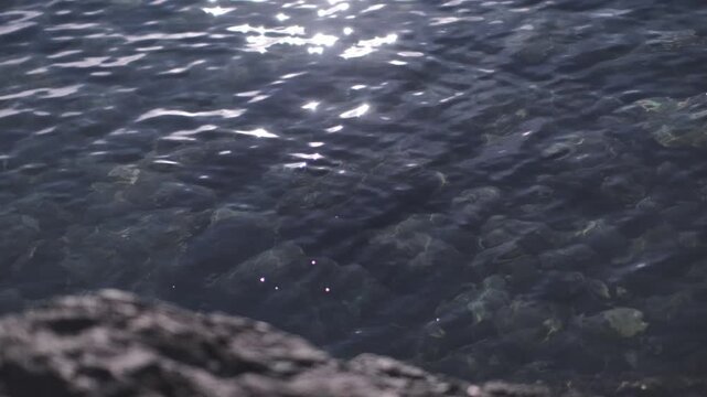 Sunlight Dancing on Crystal Clear Water Surface with Rocks