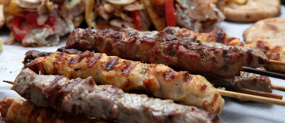 Mixed grilled meat platter, pork and chicken meat skewers, kebab pieces, closeup