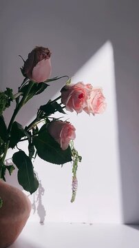 Soft blush roses arranged in a simple ceramic vase, highlighted by gentle natural light and clean shadows against a calm neutral background.