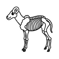 Obraz premium sheep skeleton