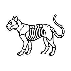 Cartoon tger mammal illustration isolated on white vector animal