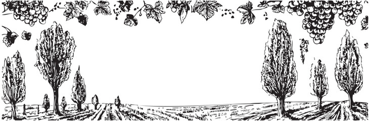 Obraz premium A black and white drawing of a field with trees and vines. The trees are in the foreground and the vines are in the background