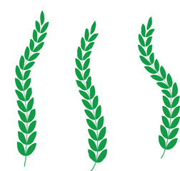 Laurel wreath vector set.
