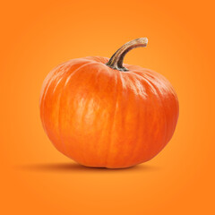 Fresh whole pumpkin on orange background. Gourd vegetable