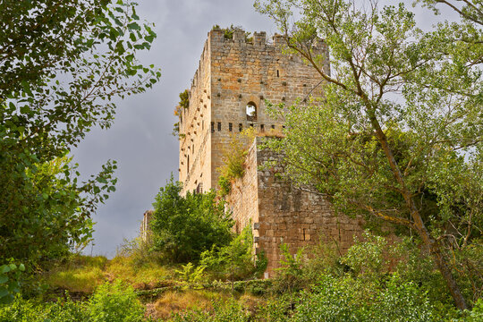 Espinosa de los Monteros castle tower standing among green trees