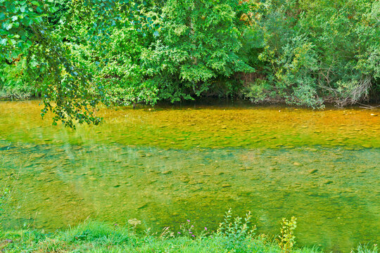Clear river water flowing through Espinosa de los Monteros nature