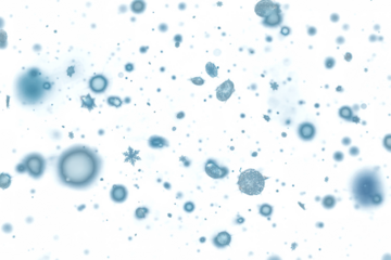 Snow Photoshop Overlays, snowscape backdrops, realistic snowflakes, freezelight effect, Christmas sessions png file 
