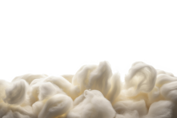 winter snow carpet isolated on transparent background with copy space for text 
