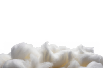 winter snow carpet isolated on transparent background with copy space for text 
