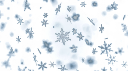 Snowflakes falling down on transparent background, heavy snow flakes isolated, Flying rain, overlay effect for composition.  
