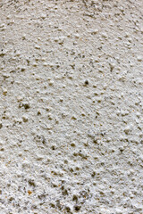 Natural Stone and Concrete Textures with Porous and Weathered Surface