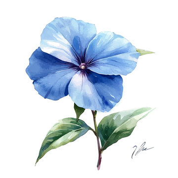 Periwinkle Flower, watercolor vector depicting playful antics, isolated on a white background.