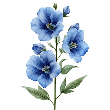 Larkspur Flower, watercolor vector depicting playful antics, isolated on a white background.