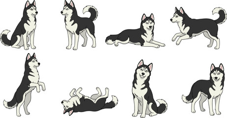 Set of Siberian Husky Dogs in Different Poses Sitting, Standing, Running, Lying, and Playing, Pet Animal Breed Illustration, Flat Vector CAD Drawing