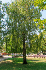 BALATONFURED, HUNGARY. Promenade of Balatonfured town at coast of Balaton lake, which is famous resort area of Hungary.